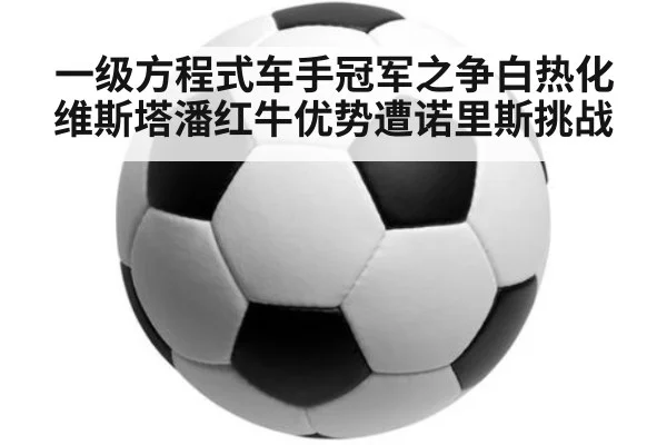 一级方程式车手冠军之争白热化 维斯塔潘红牛优势遭诺里斯挑战