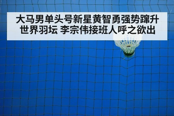 badminton training court